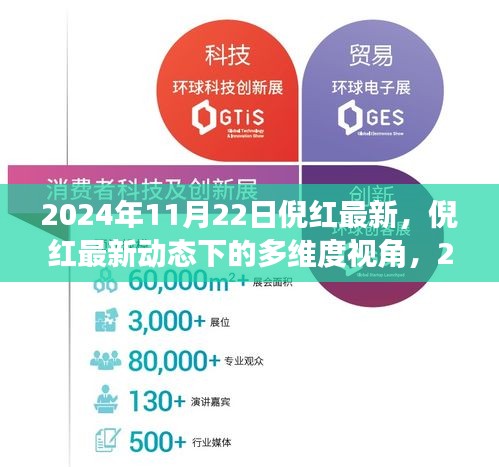 倪紅最新動(dòng)態(tài)，多維度視角下的觀點(diǎn)分析（2024年11月22日）