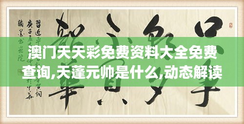澳門(mén)天天彩免費(fèi)資料大全免費(fèi)查詢(xún),天蓬元帥是什么,動(dòng)態(tài)解讀分析_曝光版NTB5.51