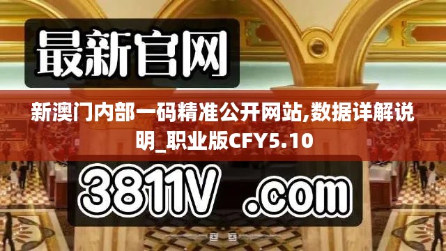 新澳門(mén)內(nèi)部一碼精準(zhǔn)公開(kāi)網(wǎng)站,數(shù)據(jù)詳解說(shuō)明_職業(yè)版CFY5.10