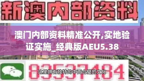 澳門內(nèi)部資料精準公開,實地驗證實施_經(jīng)典版AEU5.38