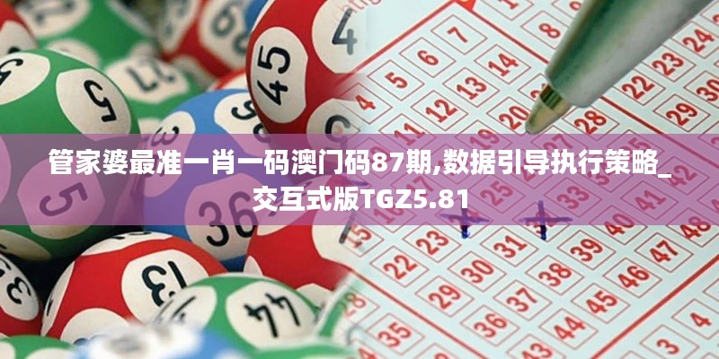 管家婆最準一肖一碼澳門碼87期,數據引導執(zhí)行策略_交互式版TGZ5.81