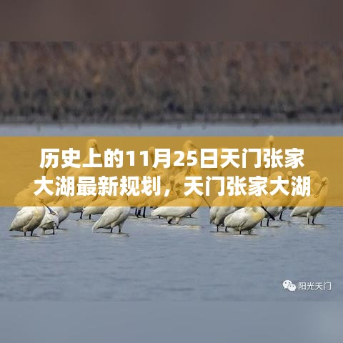 天門張家大湖新規(guī)劃啟航，變革的力量與自信的航道探索歷程