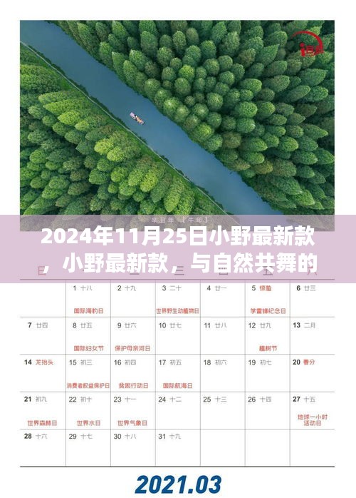小野最新款，與自然共舞的日子啟程，尋找內(nèi)心的寧?kù)o與歡笑時(shí)光（2024年11月25日）