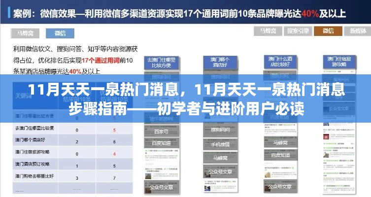 11月天天一泉熱門消息全解析，初學(xué)者與進(jìn)階用戶步驟指南