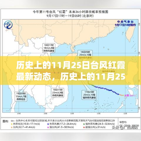 多維度視角下的審視與分析，歷史上的臺風(fēng)紅霞最新動態(tài)揭秘
