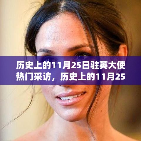 歷史上的11月25日，駐英大使熱門采訪深度解讀