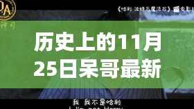 呆哥雙飛記，溫馨有趣的日常故事新篇章。