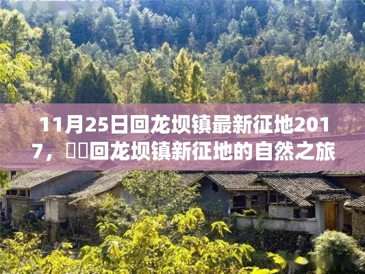 回龍壩鎮(zhèn)征地新動(dòng)態(tài)，探尋內(nèi)心平靜的征途啟程于自然之旅