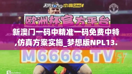 新澳門(mén)一碼中精準(zhǔn)一碼免費(fèi)中特,仿真方案實(shí)施_夢(mèng)想版NPL13.58