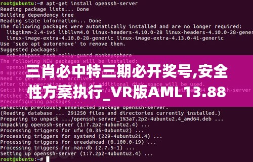三肖必中特三期必開獎(jiǎng)號,安全性方案執(zhí)行_VR版AML13.88