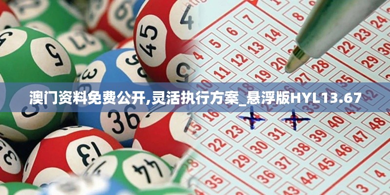 澳門資料免費公開,靈活執(zhí)行方案_懸浮版HYL13.67