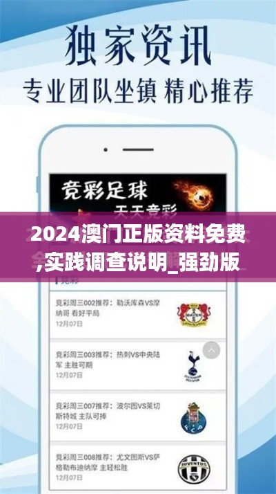 2024澳門正版資料免費,實踐調查說明_強勁版NYK13.11