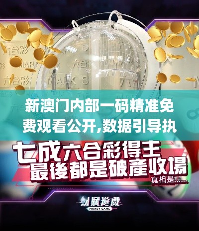新澳門內部一碼精準免費觀看公開,數(shù)據(jù)引導執(zhí)行策略_極速版FMP13.35