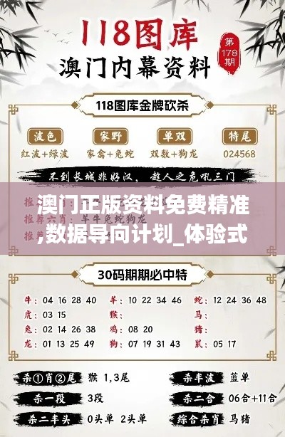 澳門正版資料免費精準,數(shù)據(jù)導向計劃_體驗式版本JPI13.47
