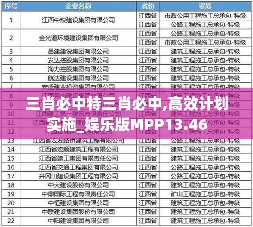 三肖必中特三肖必中,高效計(jì)劃實(shí)施_娛樂(lè)版MPP13.46