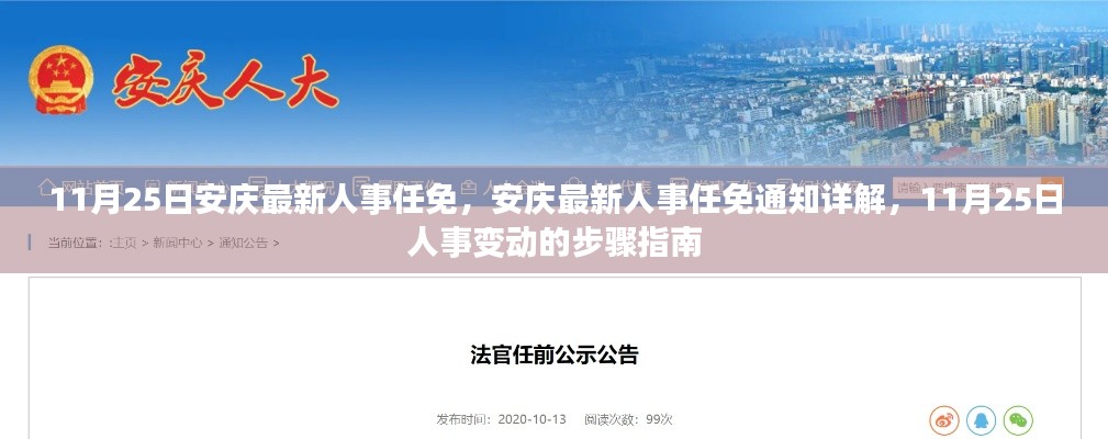 安慶人事任免最新動態(tài)，11月25日人事變動詳解與步驟指南