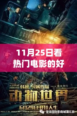 11月25日熱門電影網(wǎng)站之旅，光影中的成長(zhǎng)與自信之源