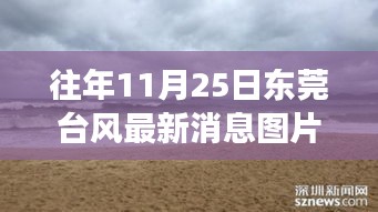 東莞臺風(fēng)最新消息與美景探索，尋找內(nèi)心平靜的旅程