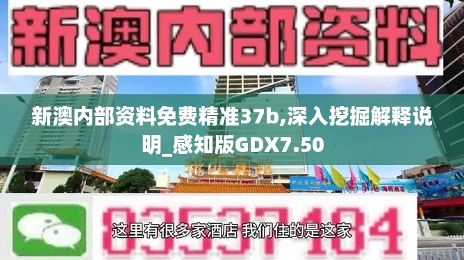 新澳內(nèi)部資料免費(fèi)精準(zhǔn)37b,深入挖掘解釋說(shuō)明_感知版GDX7.50