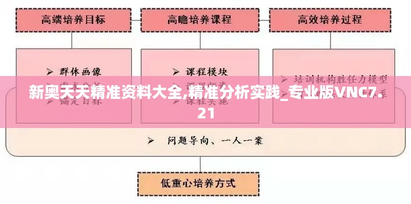 新奧天天精準(zhǔn)資料大全,精準(zhǔn)分析實(shí)踐_專(zhuān)業(yè)版VNC7.21
