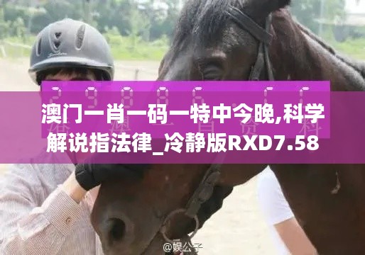 澳門一肖一碼一特中今晚,科學(xué)解說(shuō)指法律_冷靜版RXD7.58