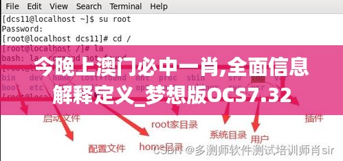 今晚上澳門必中一肖,全面信息解釋定義_夢(mèng)想版OCS7.32