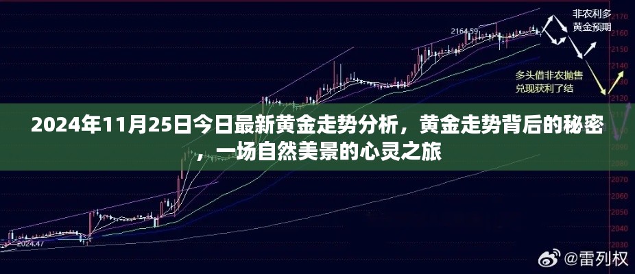 揭秘黃金走勢(shì)背后的秘密，自然美景的心靈之旅（最新黃金走勢(shì)分析）