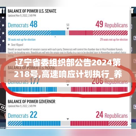 遼寧省委組織部公告2024第218號,高速響應計劃執(zhí)行_養(yǎng)生版YQC7.93