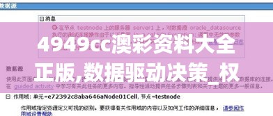 4949cc澳彩資料大全正版,數(shù)據(jù)驅(qū)動決策_(dá)權(quán)限版YNT7.3