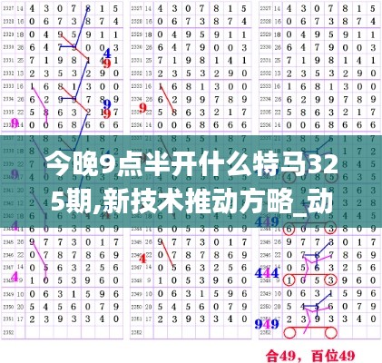 今晚9點(diǎn)半開(kāi)什么特馬325期,新技術(shù)推動(dòng)方略_動(dòng)態(tài)版YTQ7.99