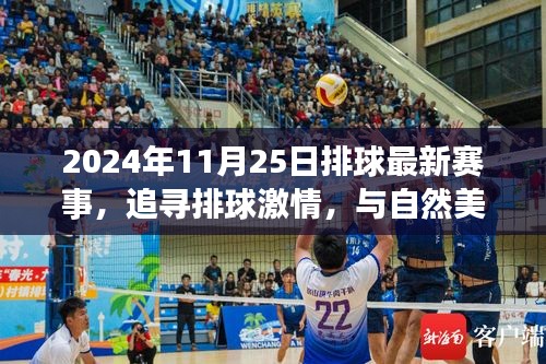 追尋激情與美景，2024年11月25日排球賽事之旅