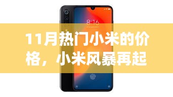 小米風(fēng)暴再燃，11月熱門小米價格演變與地位重塑