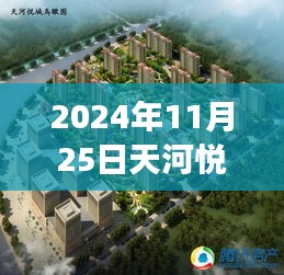 天河悅城最新動態(tài)，2024年11月25日的溫馨日常與趣事