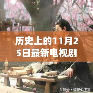 心向遠(yuǎn)方，追尋自然美景的電視劇之旅，手機(jī)在線觀看，歷史11月25日