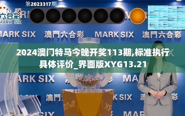 2024澳門特馬今晚開獎113期,標(biāo)準(zhǔn)執(zhí)行具體評價_界面版XYG13.21