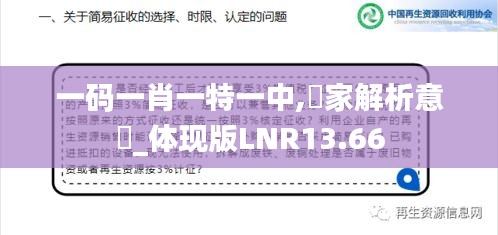 一碼一肖一特一中,專(zhuān)家解析意見(jiàn)_體現(xiàn)版LNR13.66