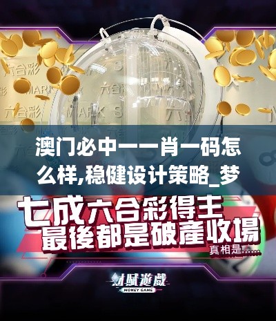 澳門必中一一肖一碼怎么樣,穩(wěn)健設(shè)計策略_夢想版OTA13.90