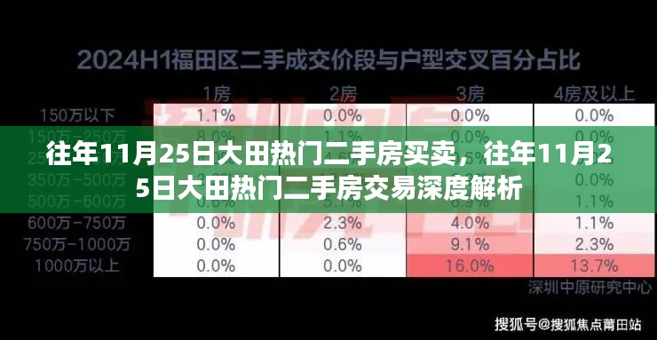 往年11月25日大田熱門二手房交易深度解析及買賣熱點探討