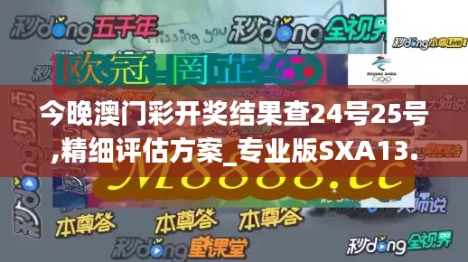 今晚澳門彩開獎結果查24號25號,精細評估方案_專業(yè)版SXA13.29