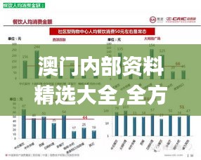 澳門(mén)內(nèi)部資料精選大全,全方位數(shù)據(jù)解析表述_隨身版CQX13.61