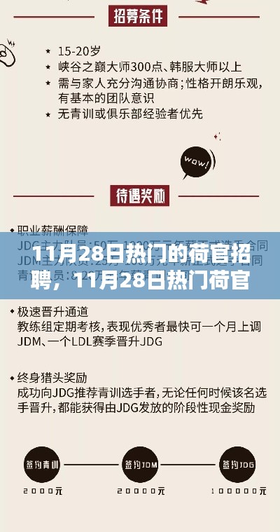 11月28日荷官招聘熱點(diǎn)，行業(yè)趨勢(shì)與求職指南全解析