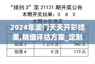 2024年澳門天天開彩結果,精細評估方案_定制版QRM13.2