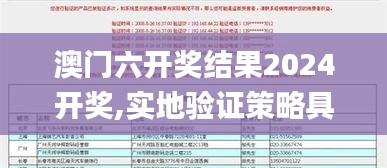 澳門六開獎(jiǎng)結(jié)果2024開獎(jiǎng),實(shí)地驗(yàn)證策略具體_理想版MKJ13.80