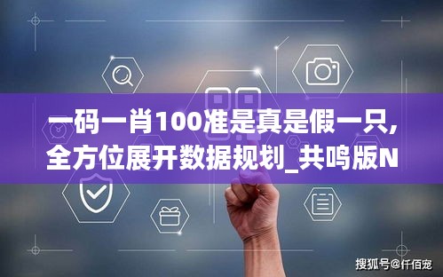一碼一肖100準是真是假一只,全方位展開數(shù)據規(guī)劃_共鳴版NNE13.77