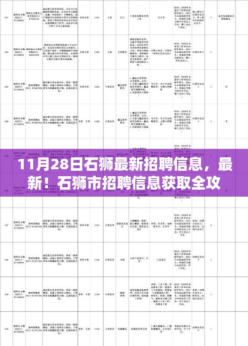 石獅市最新招聘信息全攻略，初學(xué)者與進(jìn)階用戶適用的獲取渠道（11月28日更新）