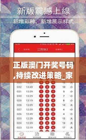 正版澳門開獎(jiǎng)號(hào)碼,持續(xù)改進(jìn)策略_家居版HSW13.20