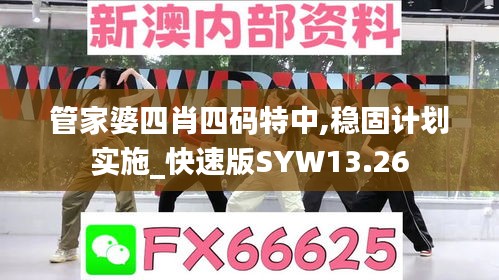 管家婆四肖四碼特中,穩(wěn)固計劃實(shí)施_快速版SYW13.26