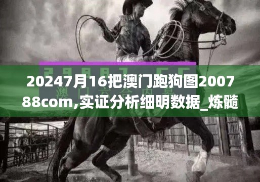 20247月16把澳門跑狗圖200788com,實證分析細(xì)明數(shù)據(jù)_煉髓境NRJ13.48