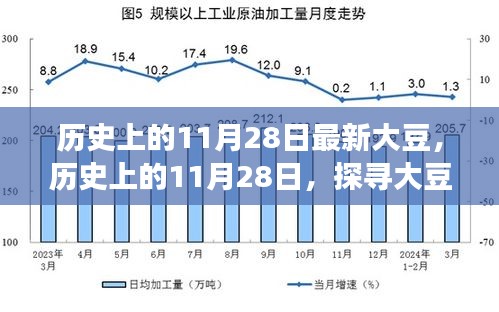 歷史上的11月28日，探尋大豆產(chǎn)業(yè)最新發(fā)展動態(tài)與產(chǎn)業(yè)進步歷程