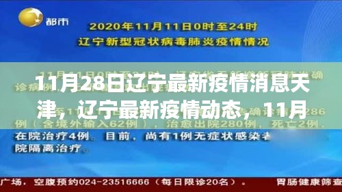 遼寧與天津抗疫進展更新，11月28日最新疫情消息與動態(tài)